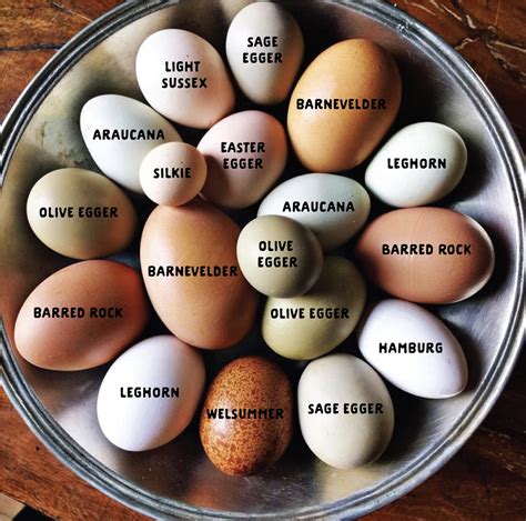 are all eggs the same quality
